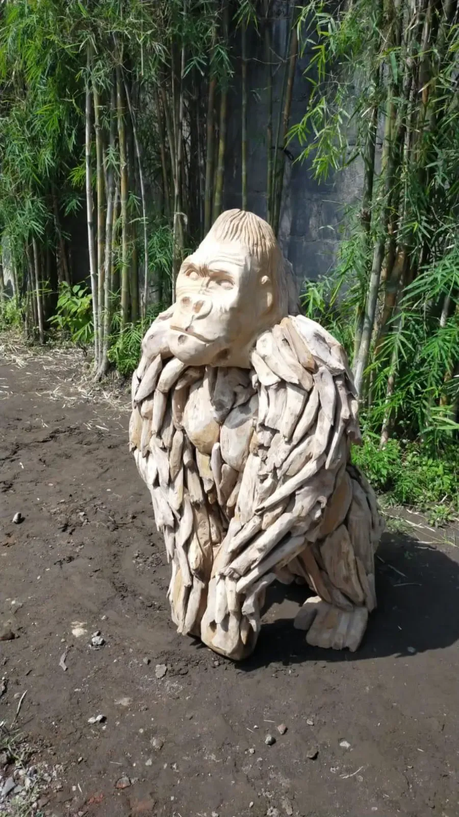 Gorilla Teak - World of Brosi