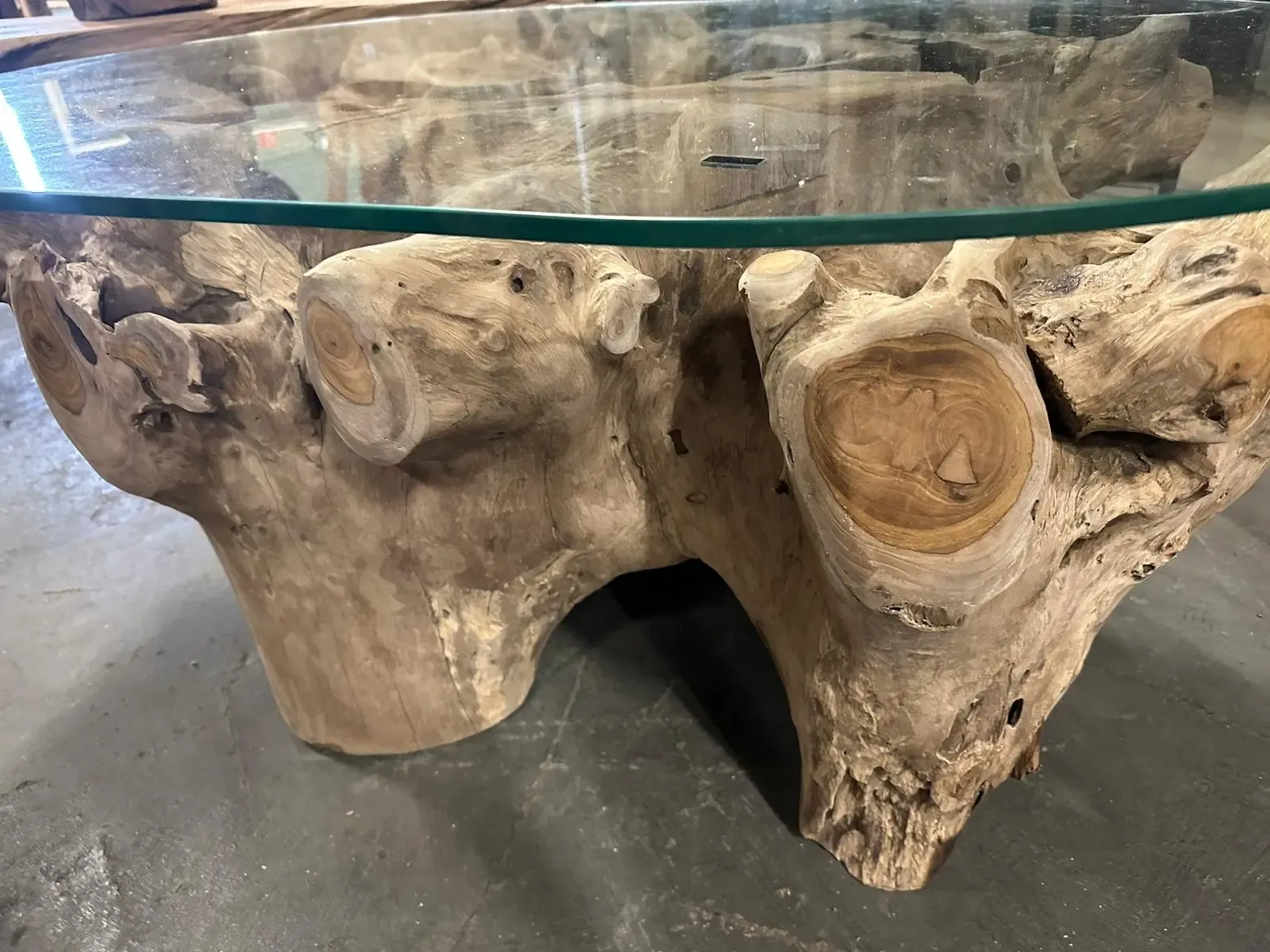 Amazones Oval Coffee Table - World of Brosi