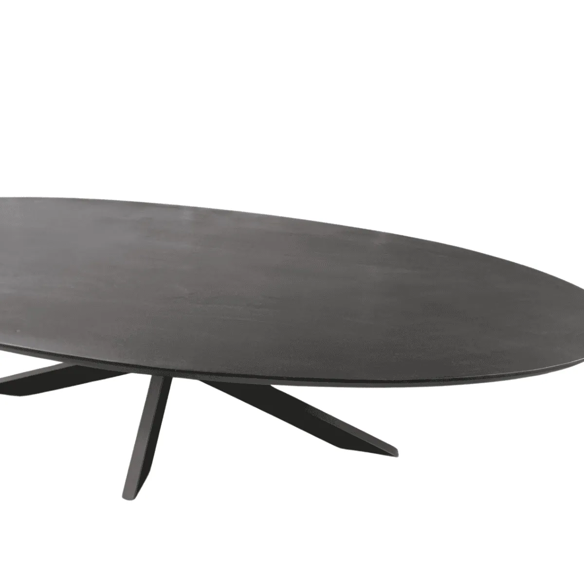 Der ovale Esstisch Brandy Black 240 cm auf weißem Hintergrund, aus einem niedrigen Blickwinkel fotografiert - Starfurn