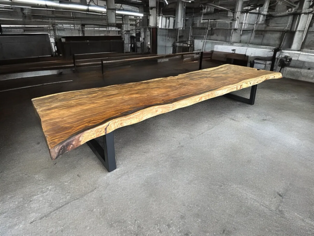 Suar wood tree trunk table 4 metres - World of Brosi
