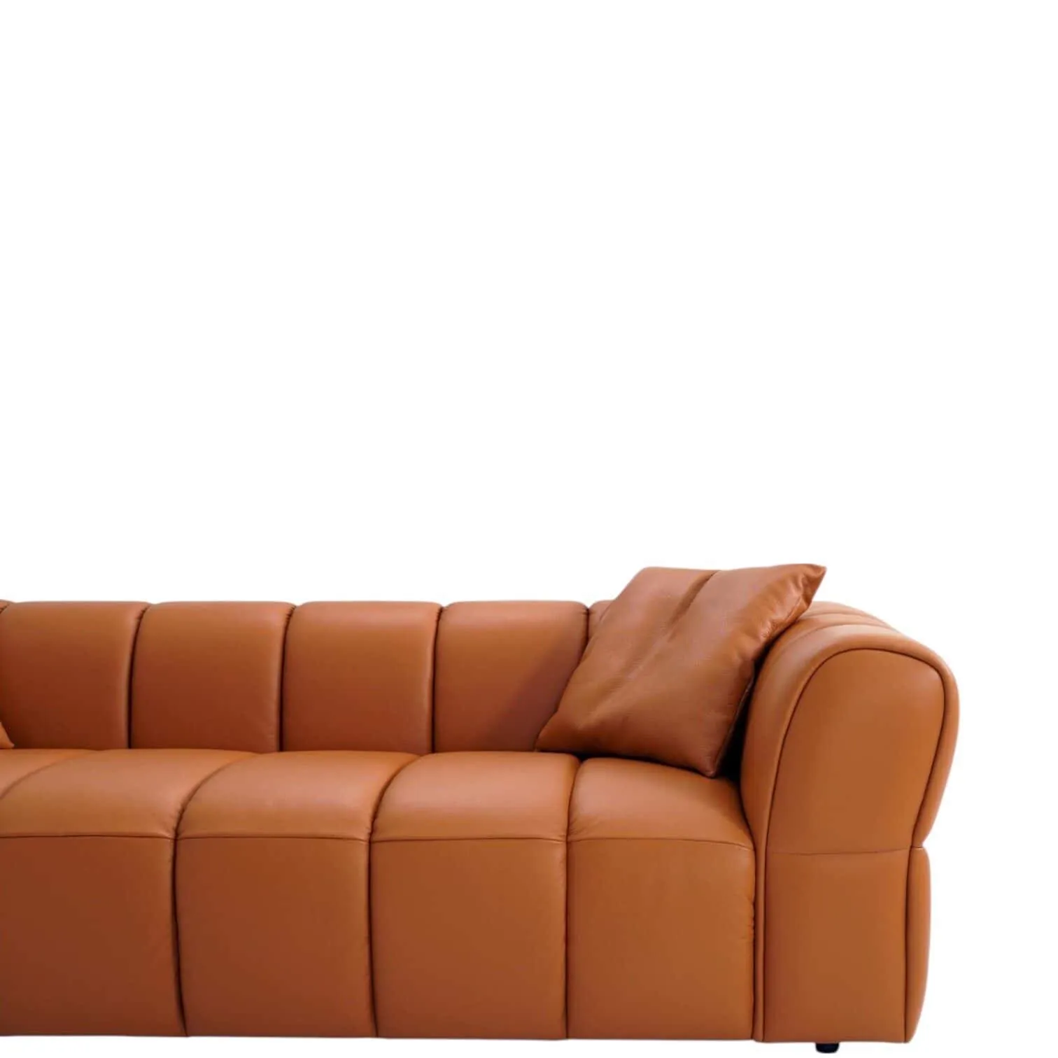 Detail des Sofa Regnum, ein braunes Sofa mit einem Kissen auf weißem Hintergrund - Zitform