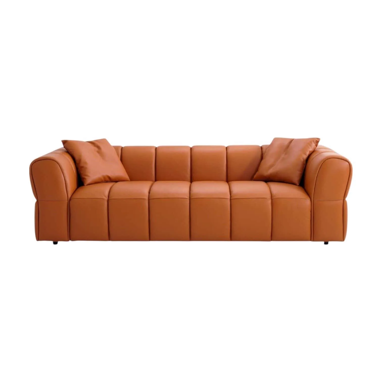 Sofa Regnum in einer Studio-Aufnahme, von vorne fotografiert mit zwei Kissen auf dem Sofa - Zitform