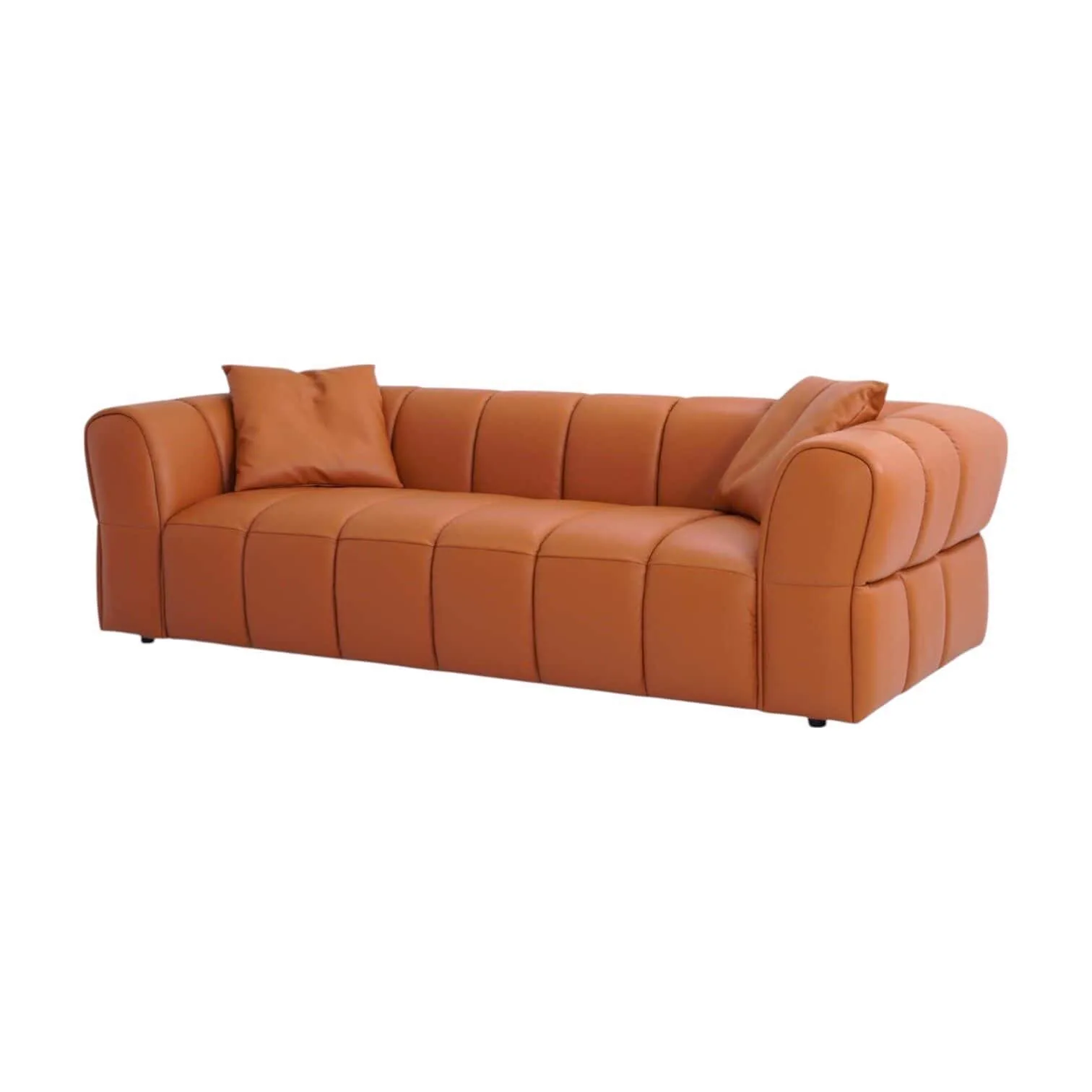 Sofa Regnum auf weißem Hintergrund, mit zwei Kissen und einer detaillierten Steppnaht - Zitform
