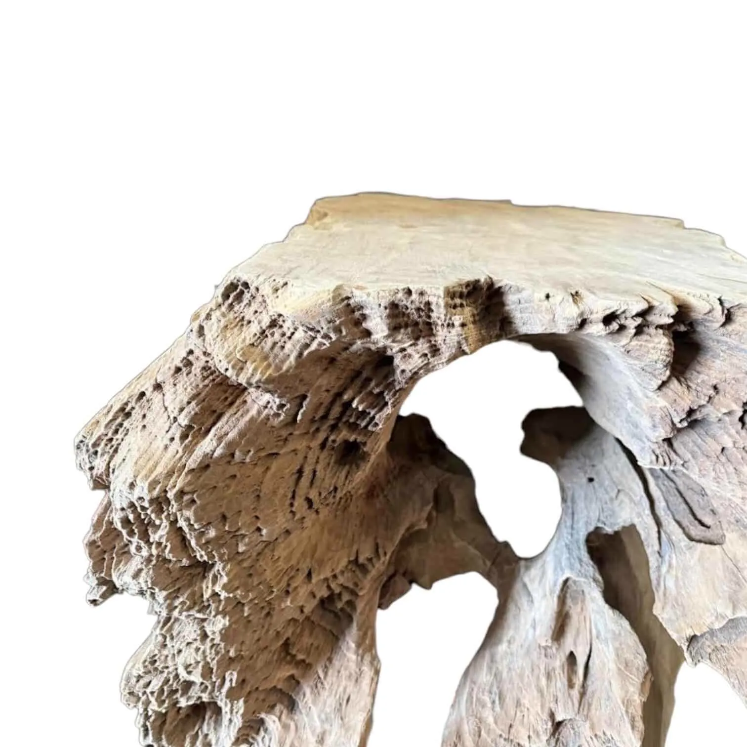 Coffee Table Tree Trunk Teak - World of Brosi
