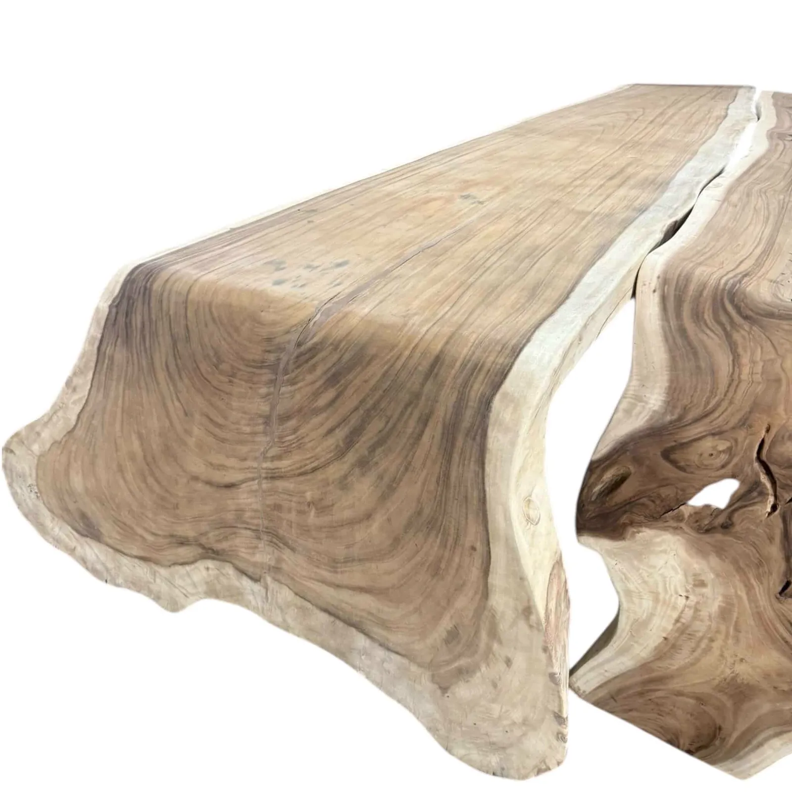 Tree Trunk Table Suar 450cm - World of Brosi