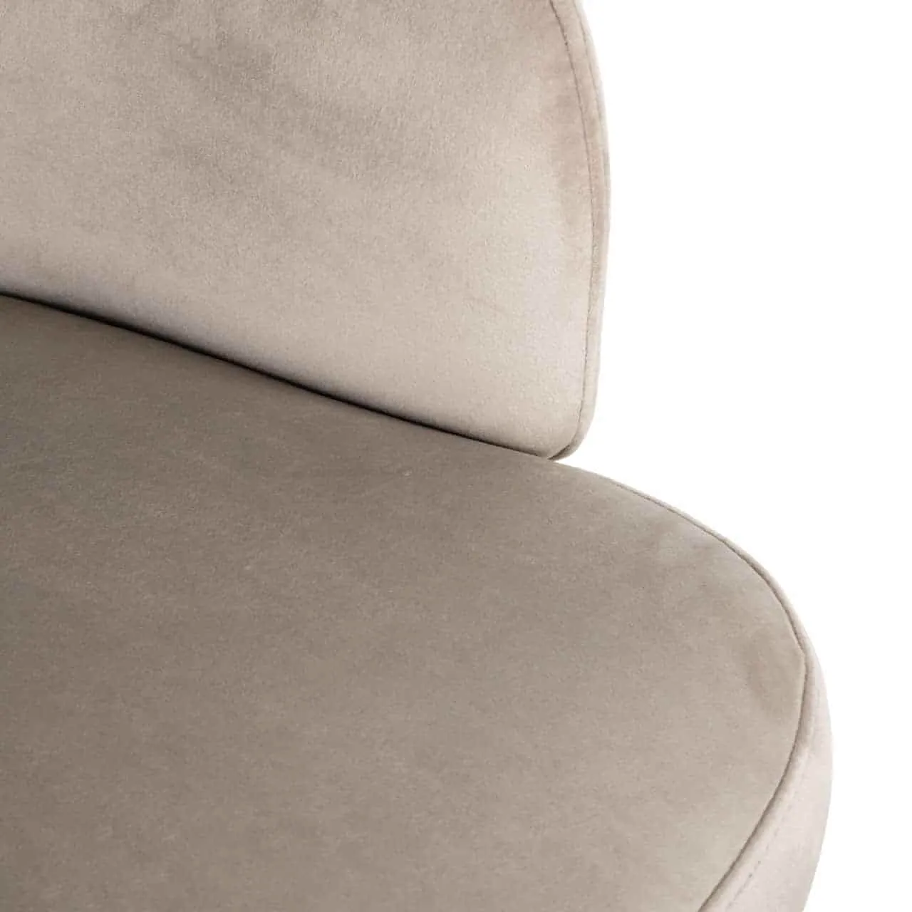 Dining chair Amphara khaki velvet flame retardant - Richmond Interiors