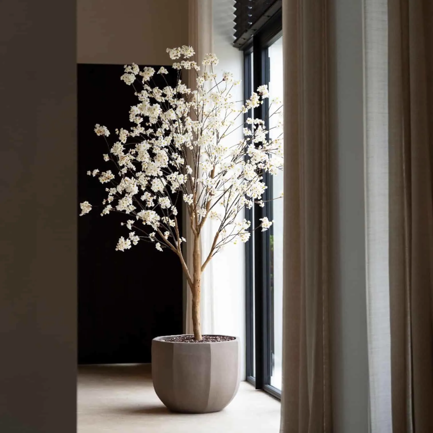 Bloesem Boom Crème 220cm incl. Witte Pot