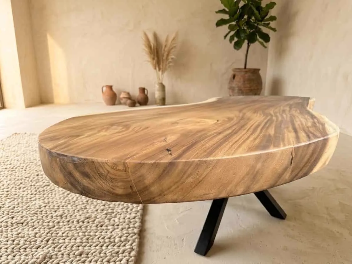 Organic Suar Dining Table - World of Brosi