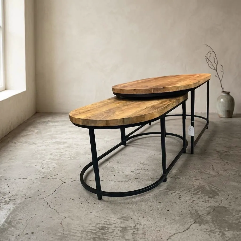 Coffee Table Set Alfa mango wood