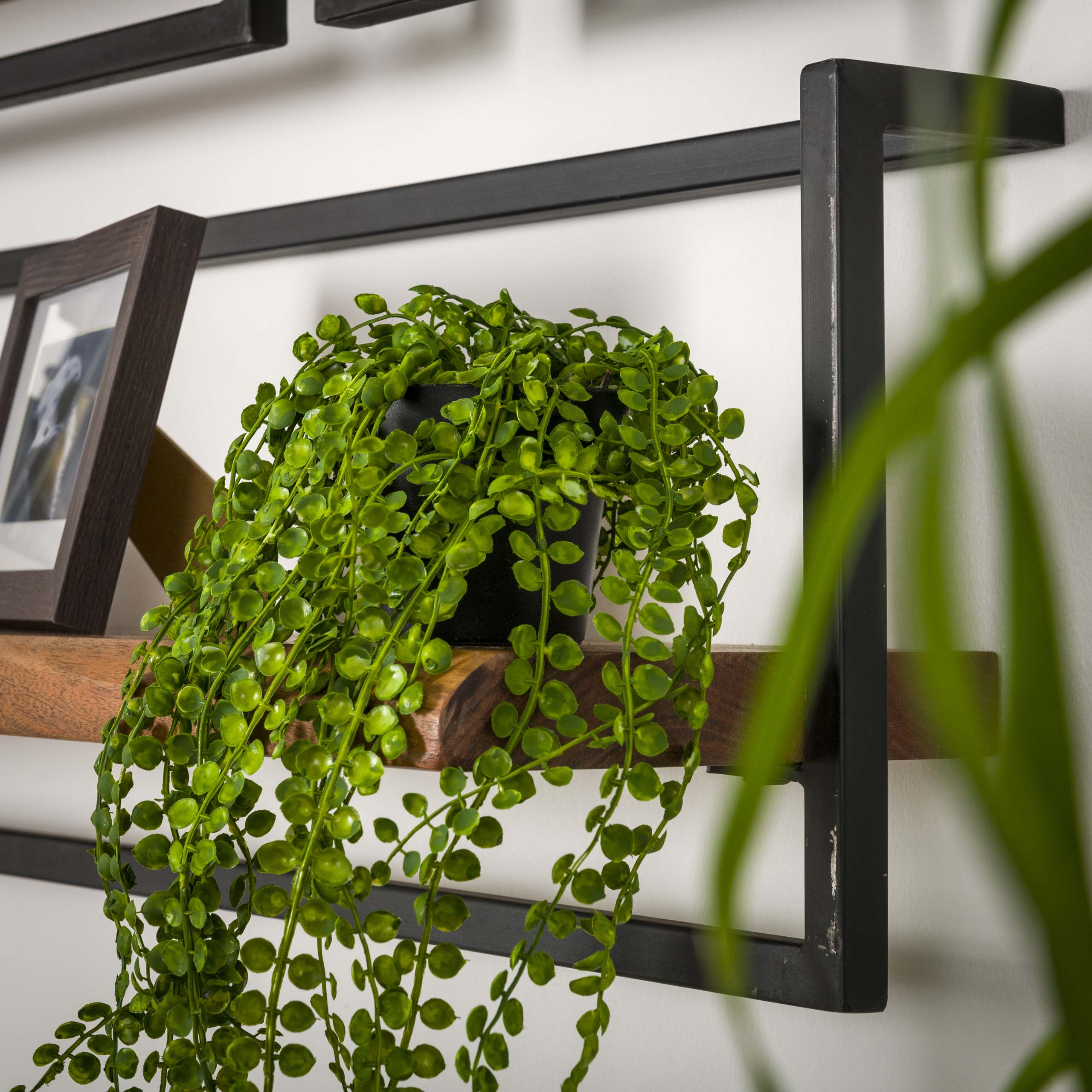 Wandplank Edge Frame 30x65cm hoog / Massief acacia - Zijlstra