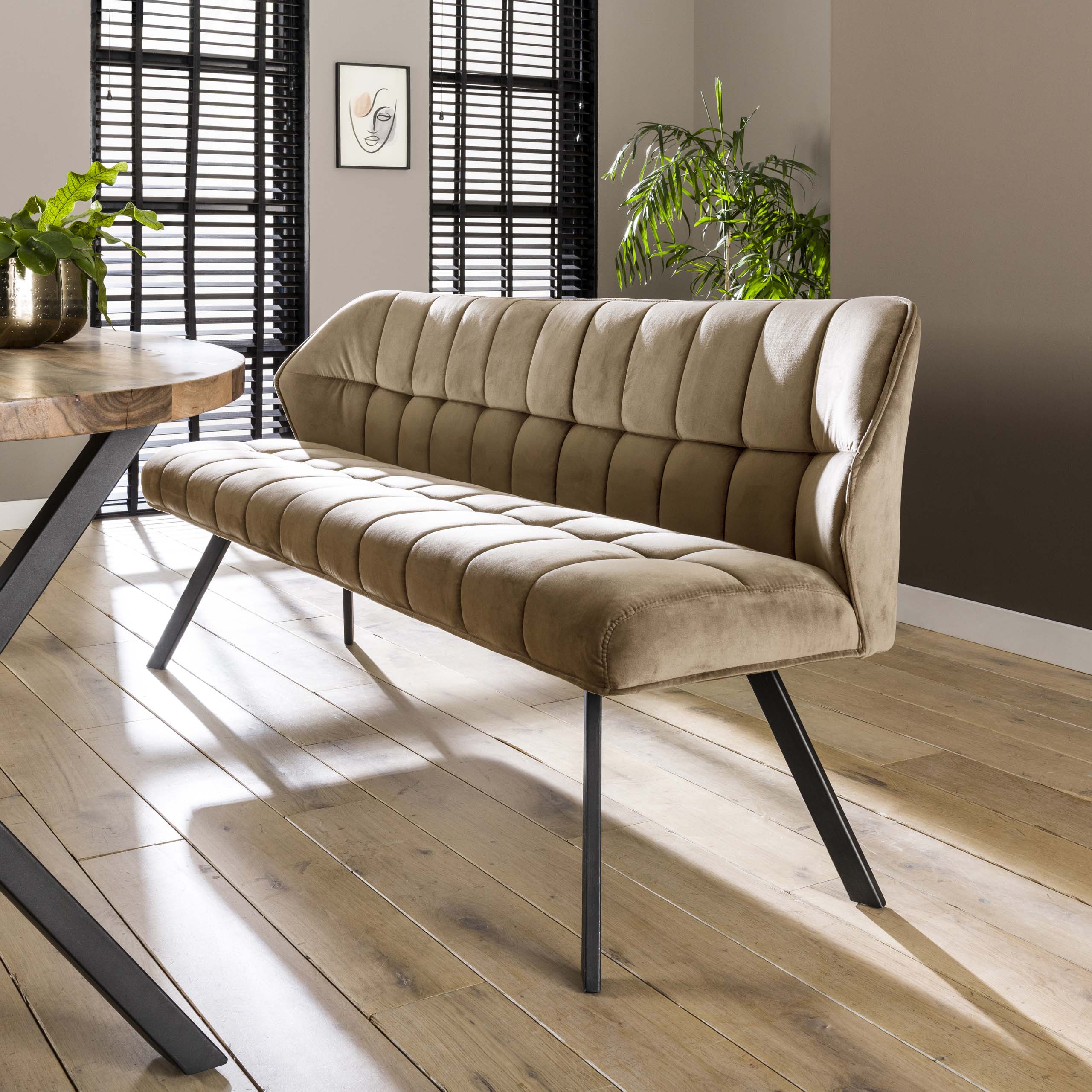 Dining Bench Raster / Velours champagne - Zijlstra